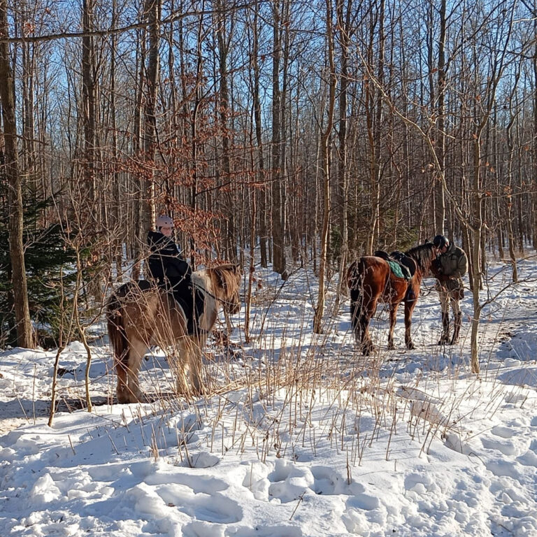 Outside my farm